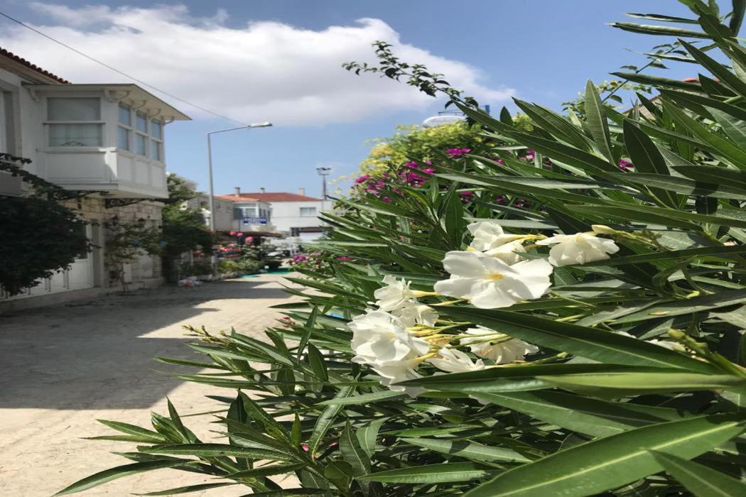 Beyaz Ev Hotel Alaçatı Exteriör bild